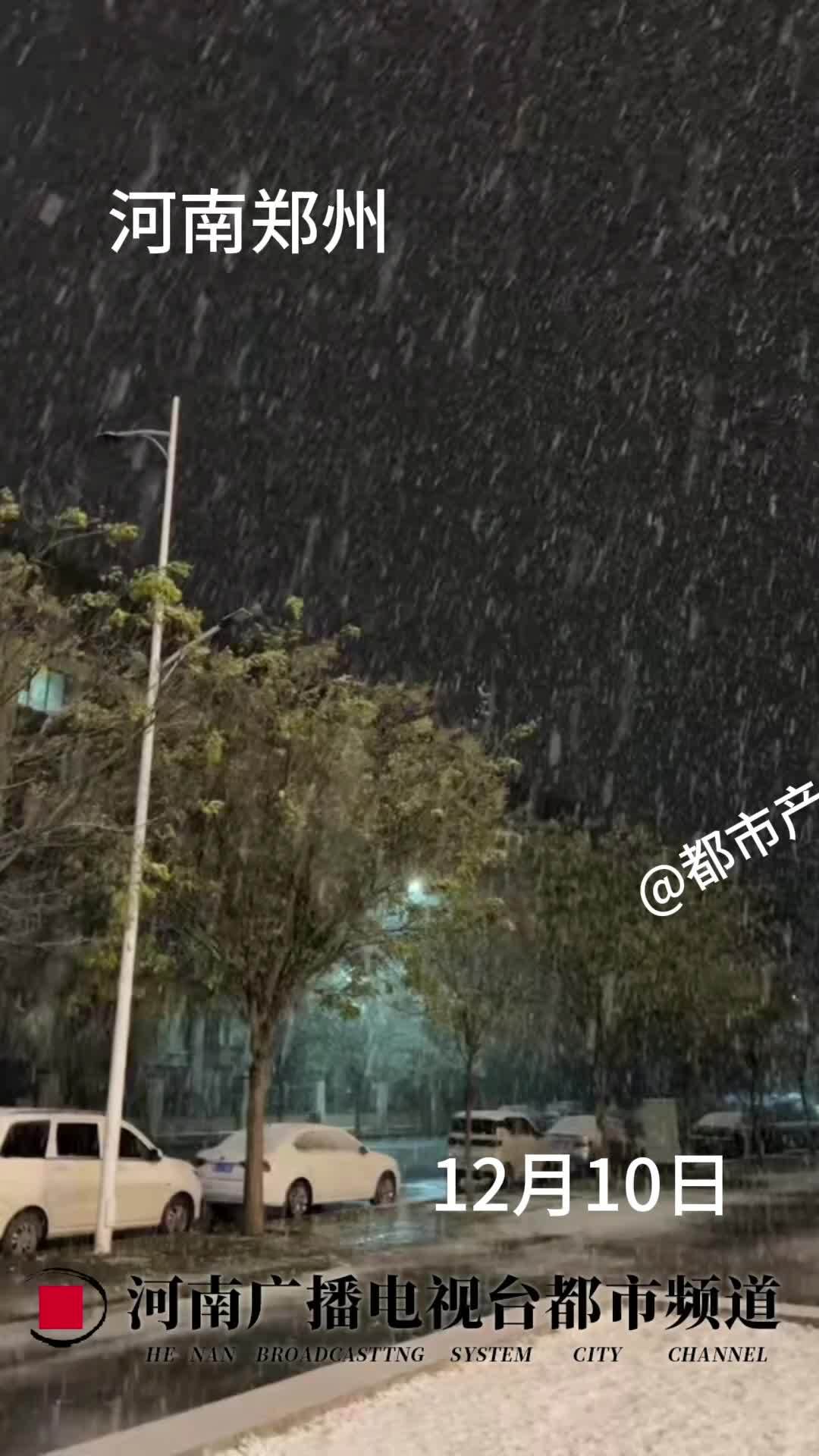 带上你爱的人一起白头偕老吧 郑州今日下雪