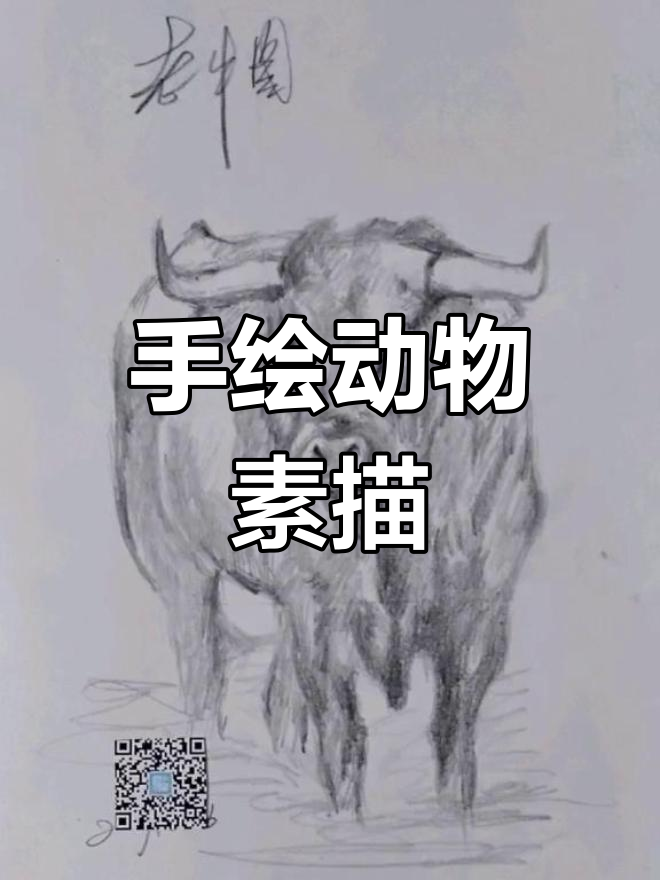 老黄牛素描图片