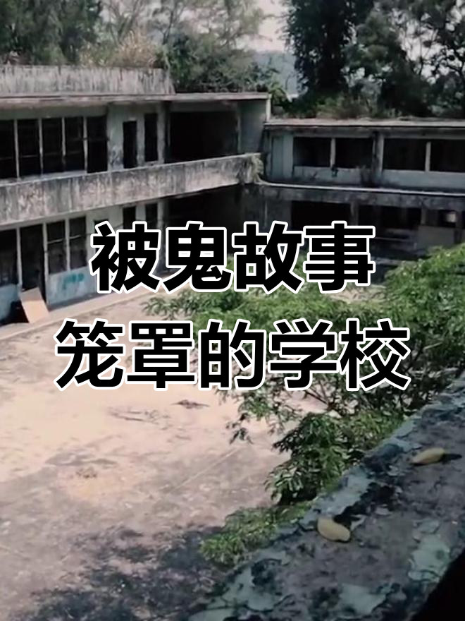 香港达德小学图片