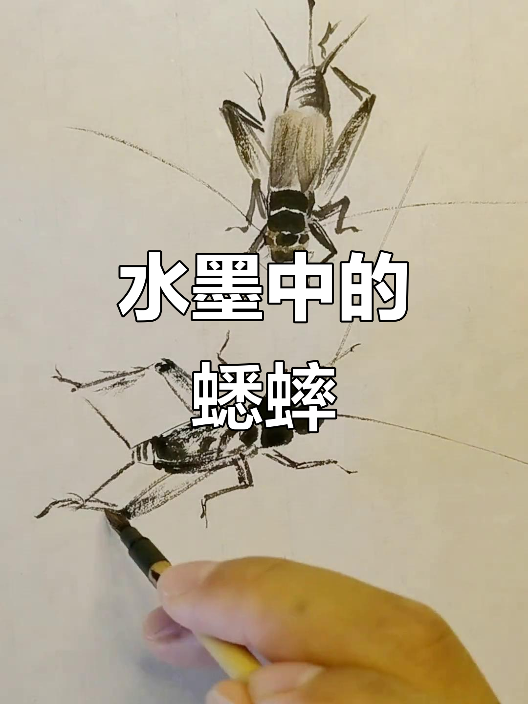 蟋蟀水墨画,观察昆虫的细腻之美