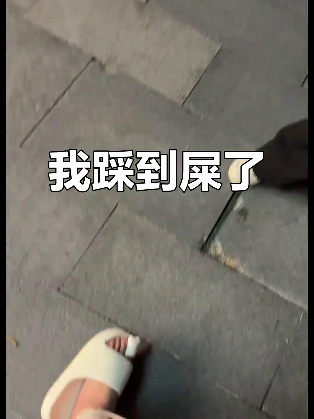 倒霉的我踩到屎了,爸爸还怪鞋不给力