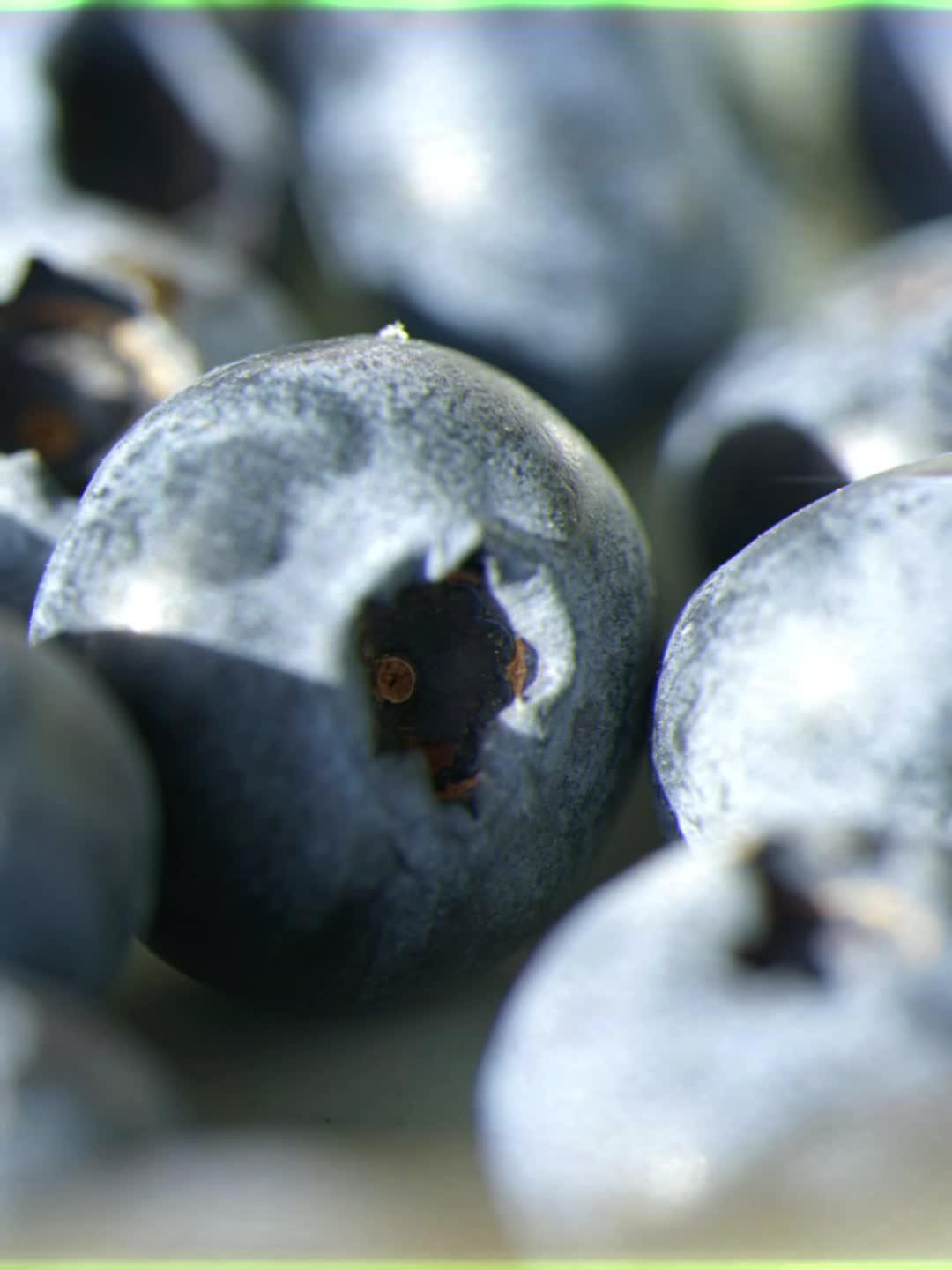 豆角樱桃蓝莓抖音=樱桃豆角能一起吃吗