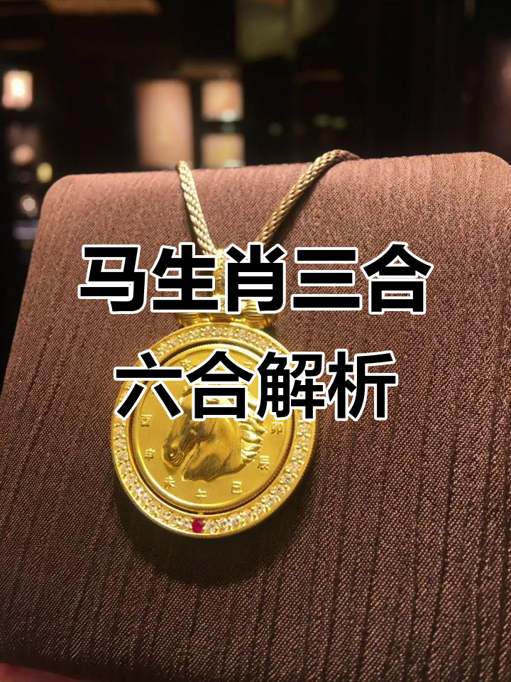 猪年马生肖的运势(属马猪年运势2020年)