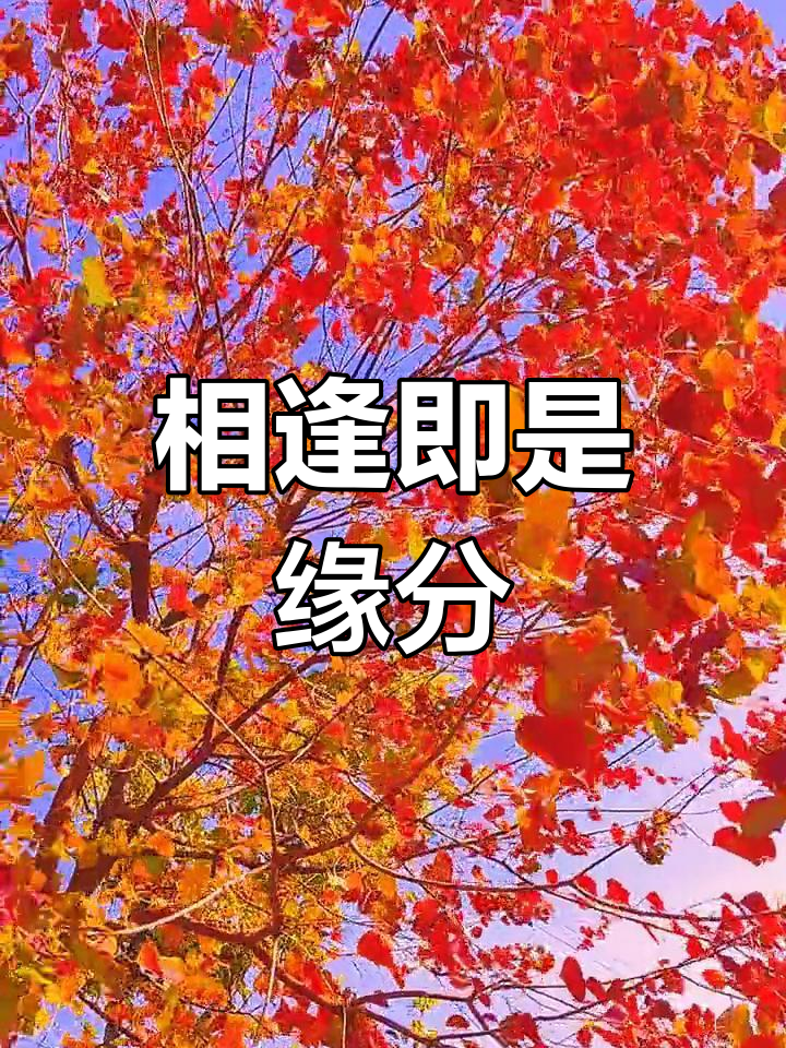 相遇是缘,相逢如歌