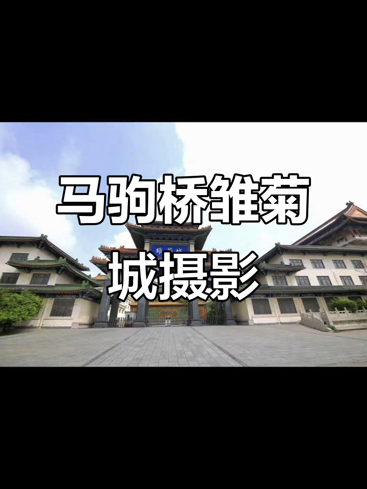 探秘马驹桥雏菊城,古建筑与自然美景的完美融合