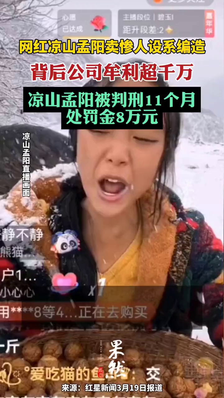 百万粉丝女网红凉山孟阳被判刑11个月