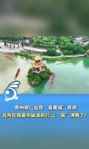 贵州铜仁出现“鸳鸯锅”奇观，龙舟在雨幕中破浪前行，让“锅”沸腾了！