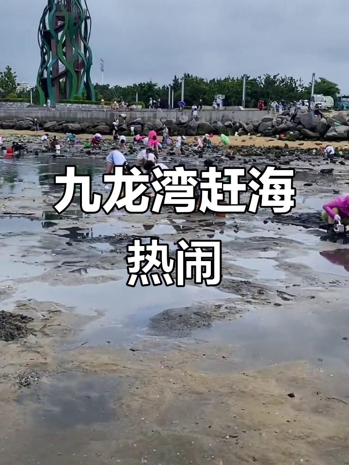 威海九龙湾赶海,居然这么多人在玩!