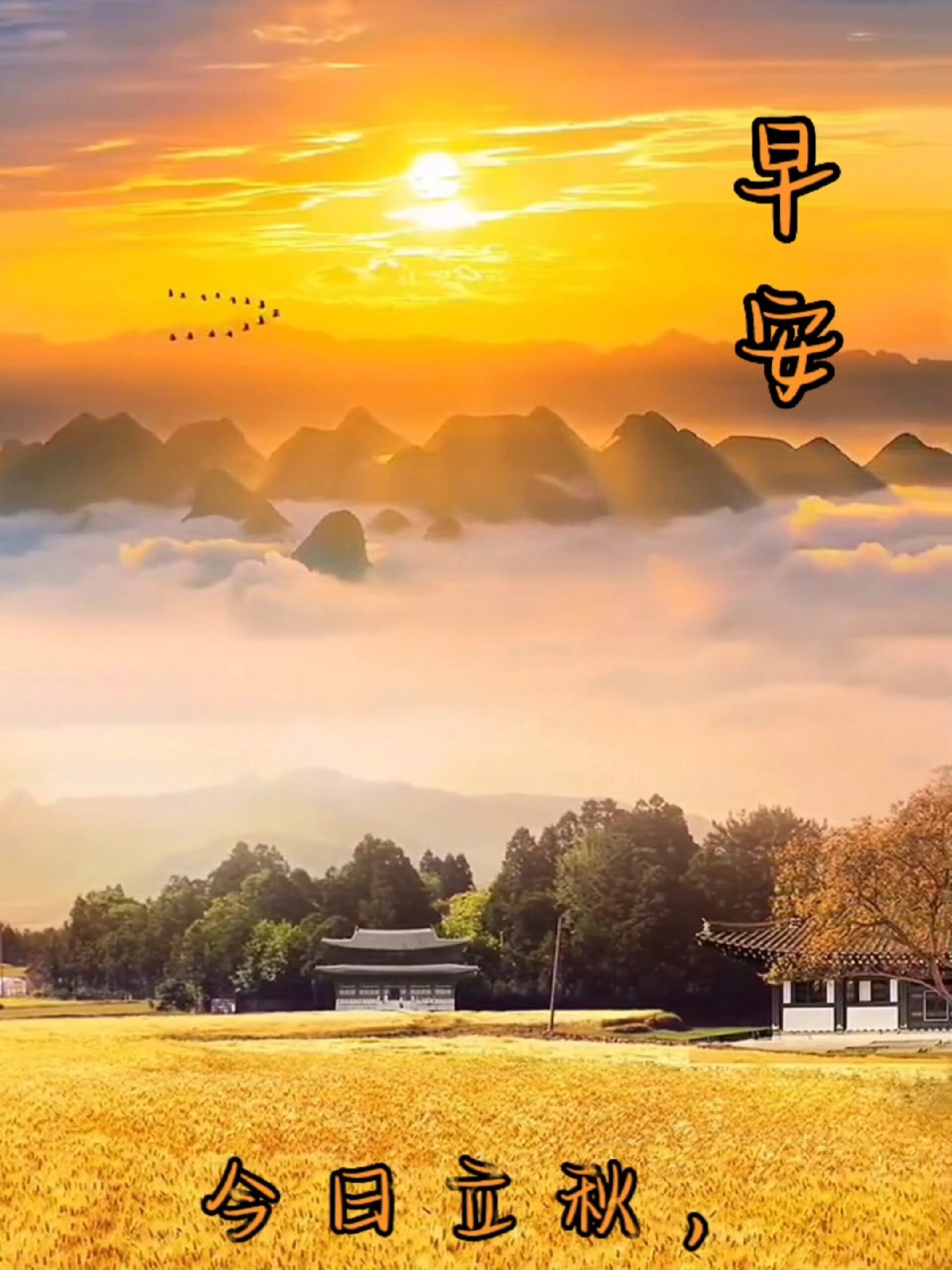 早安视频丨视频剪辑丨立秋视频