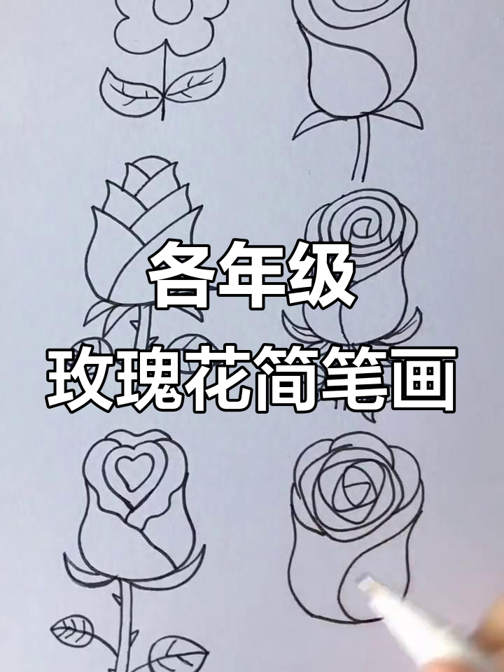 玫瑰花画法大揭秘,从一年级到六年级全攻略