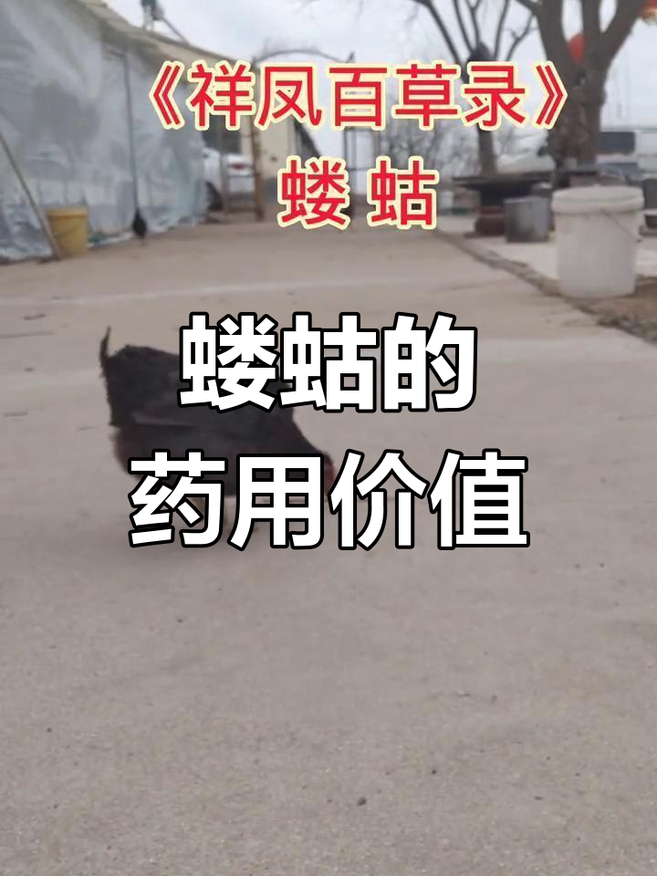蝼蛄为什么不能踩死 蝼蛄为什么不能踩死