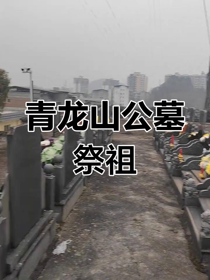 青龙山公墓:祭祖之地,山顶风光尽收眼底