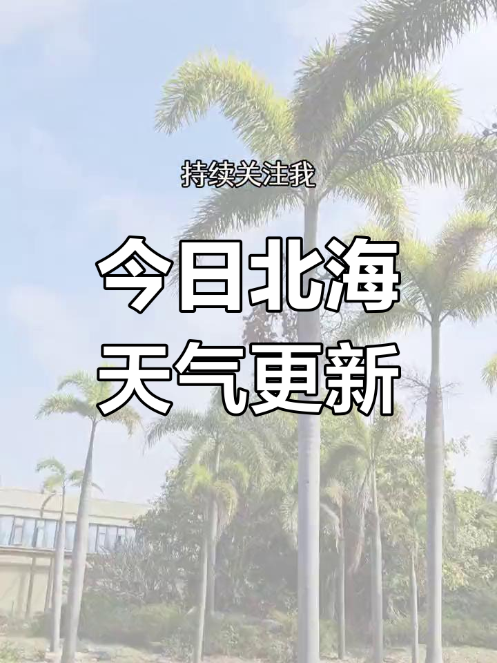 北海十五天天气预报
