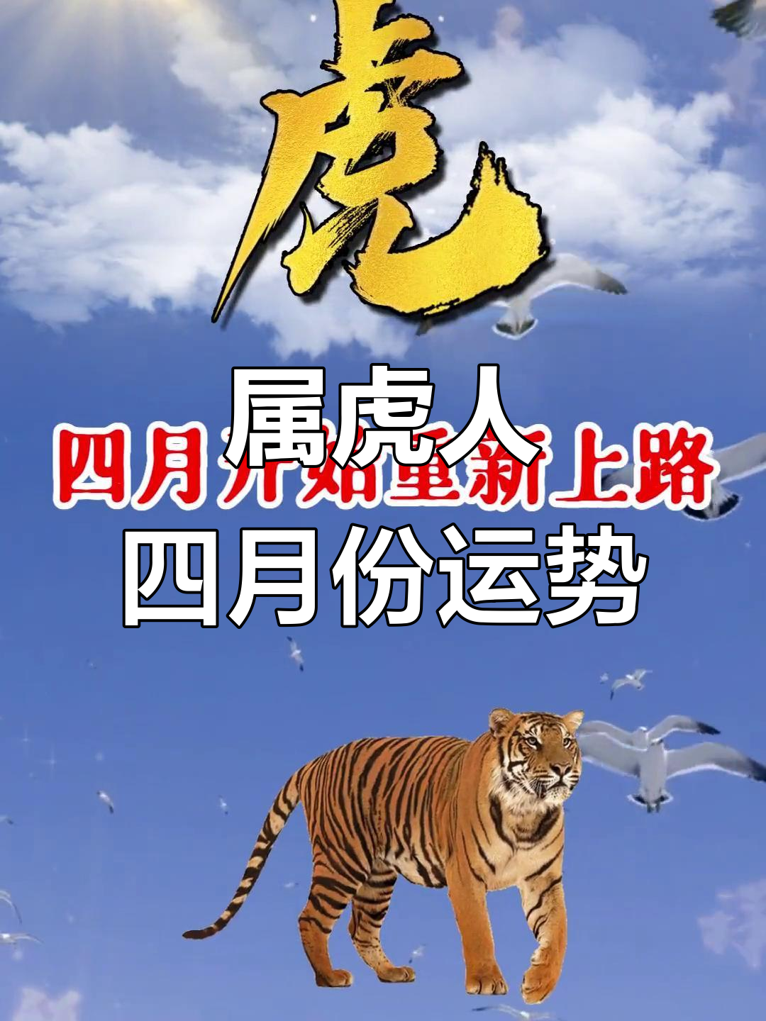 86年虎生肖21年运势(86年属虎的人20212年的运势及运程)