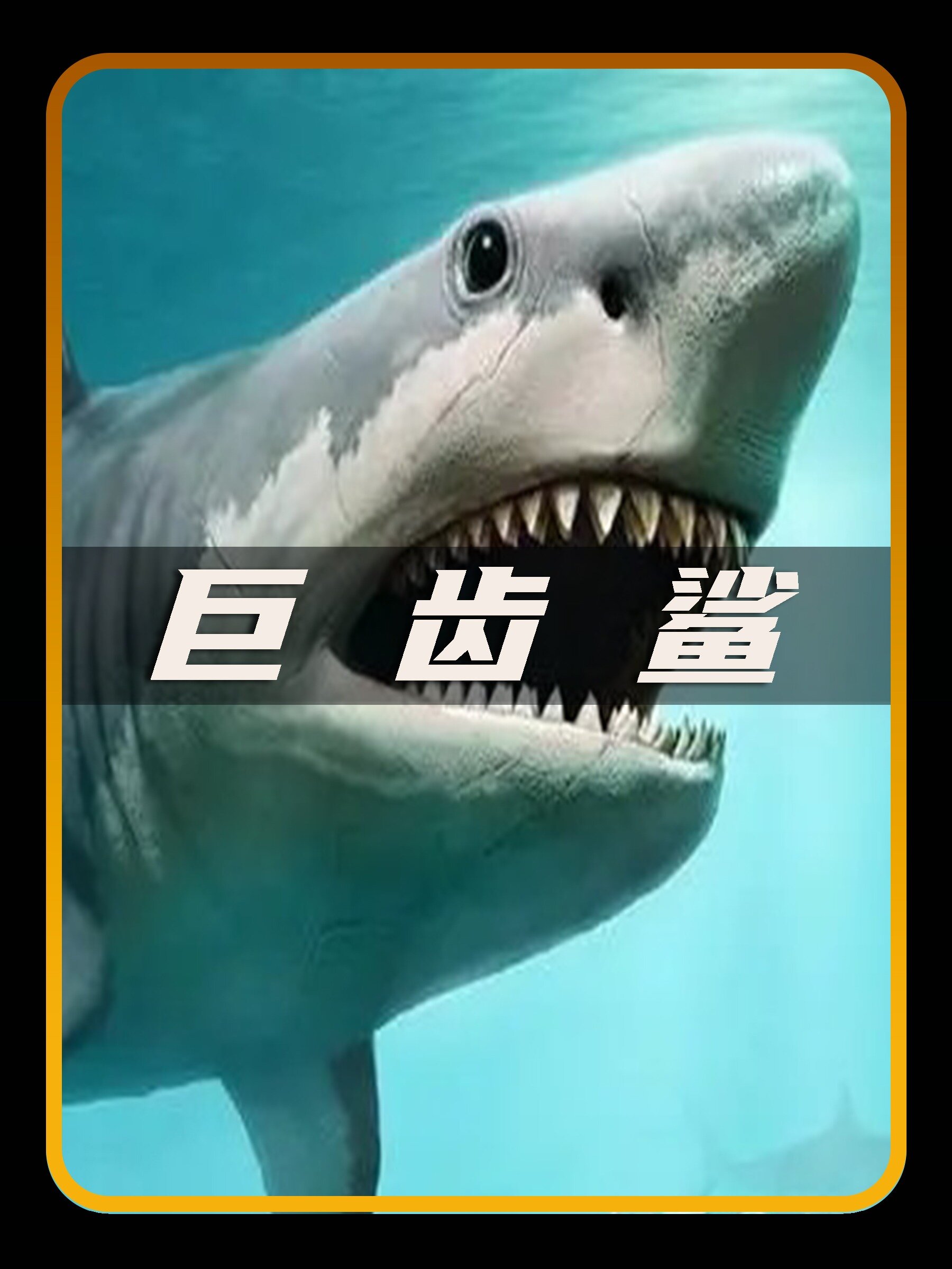 巨齿鲨为什么会灭绝