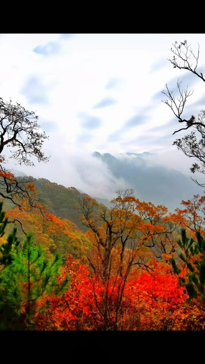 金寨马鬃岭,要去的约起……最美的风景在路上 属于秋天的颜色 自驾游