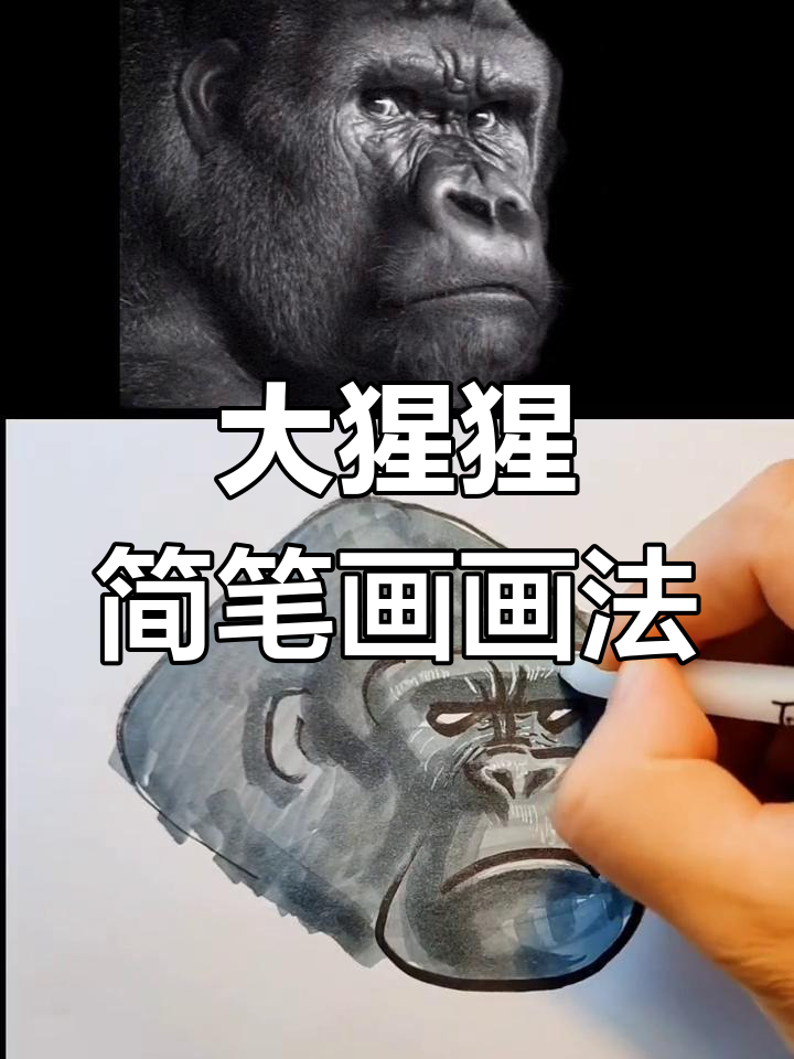 轻松画出可爱大猩猩,简笔画教学来啦!