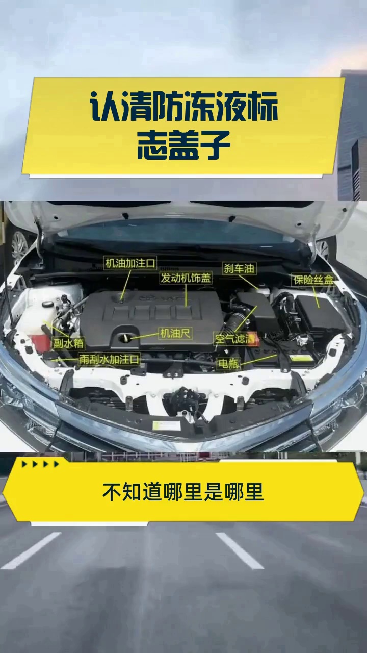 认清防冻液标志盖子