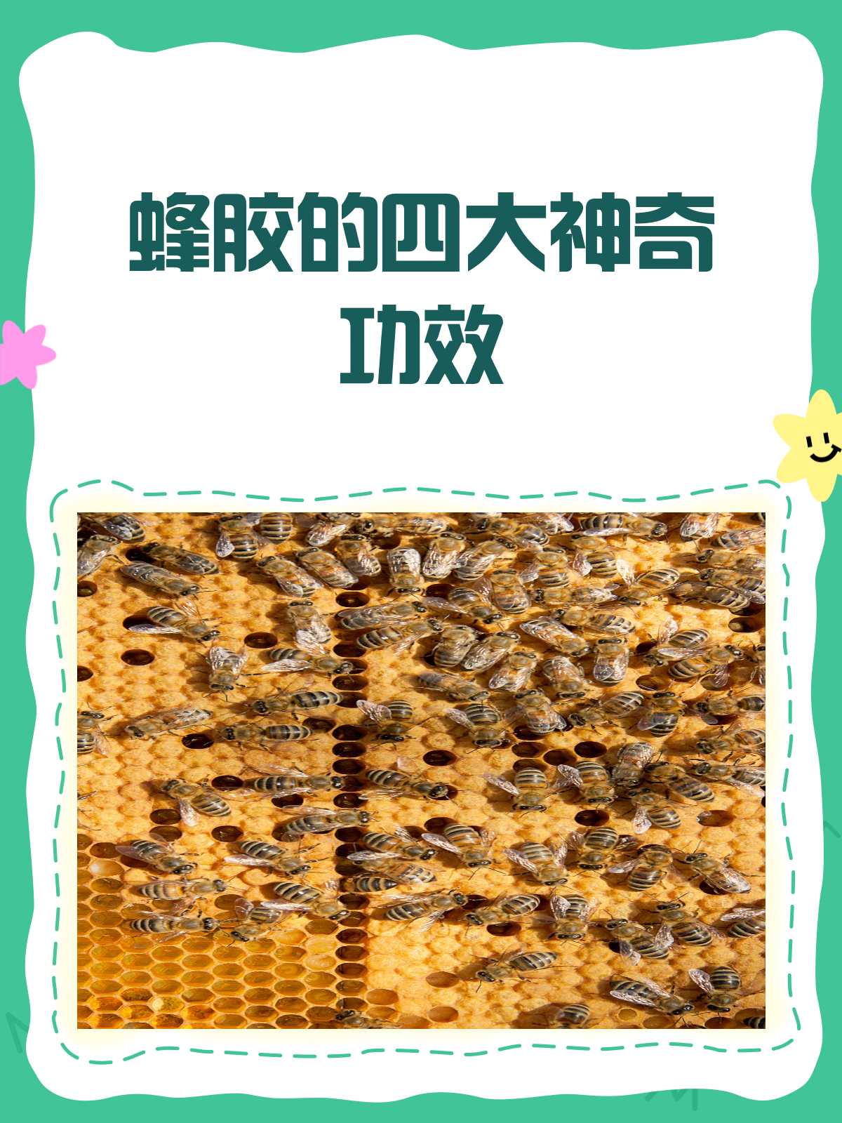 蜂胶的付作用与功效(蜂胶的功效与副作用)
