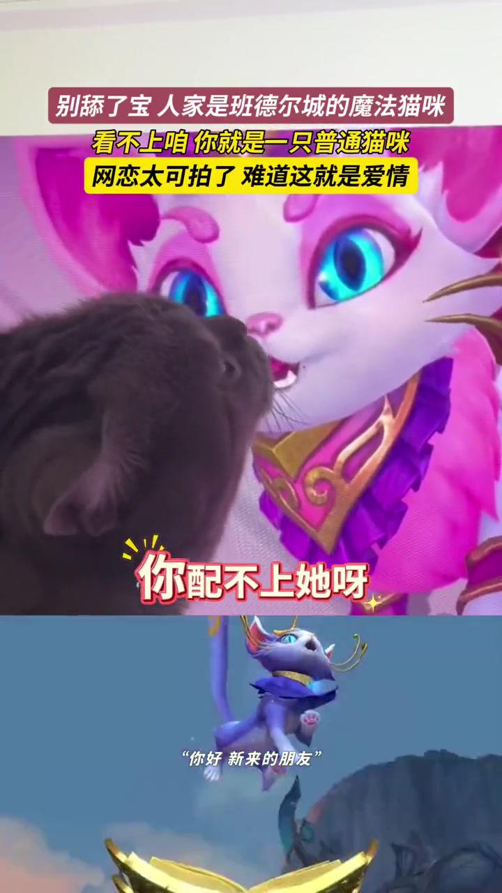 虽然你是魔法猫咪,但我可以是魔法舔猫.#猫咪的迷惑行为