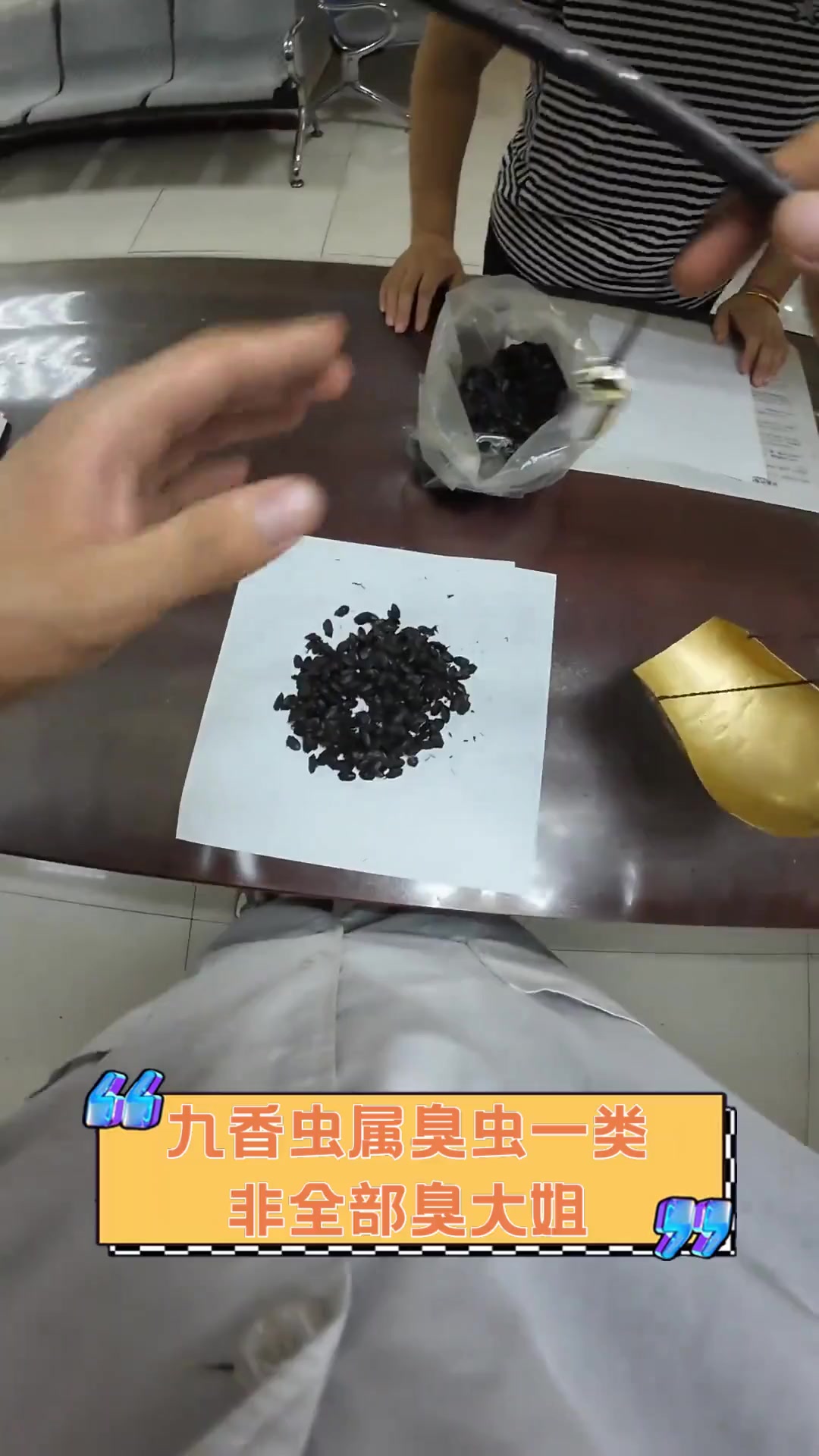 九香虫属臭虫一类,非全部臭大姐