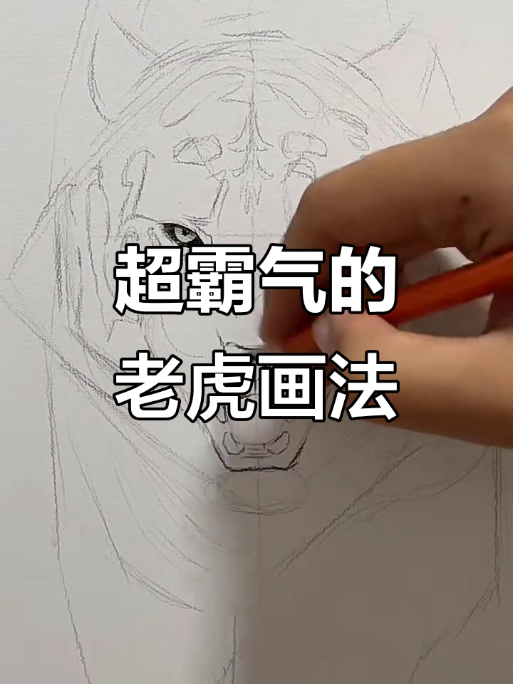 教你画霸气老虎,步骤简单又生动