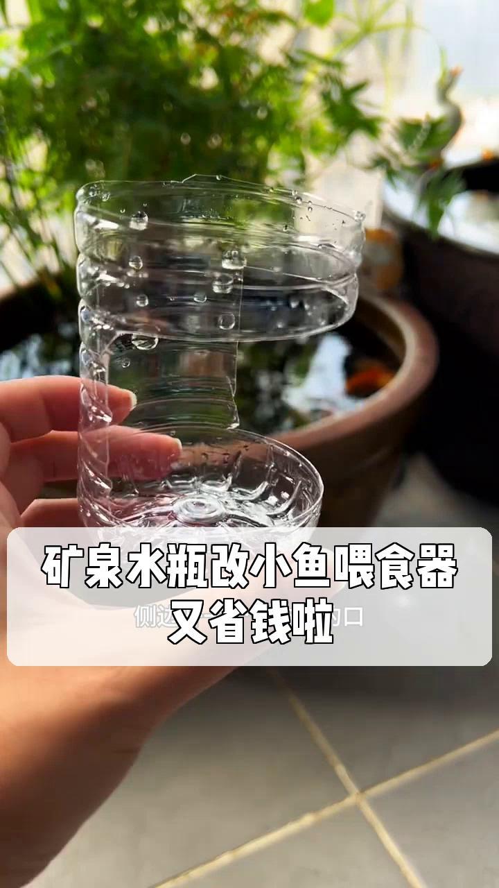 矿泉水瓶做小鱼过程图片