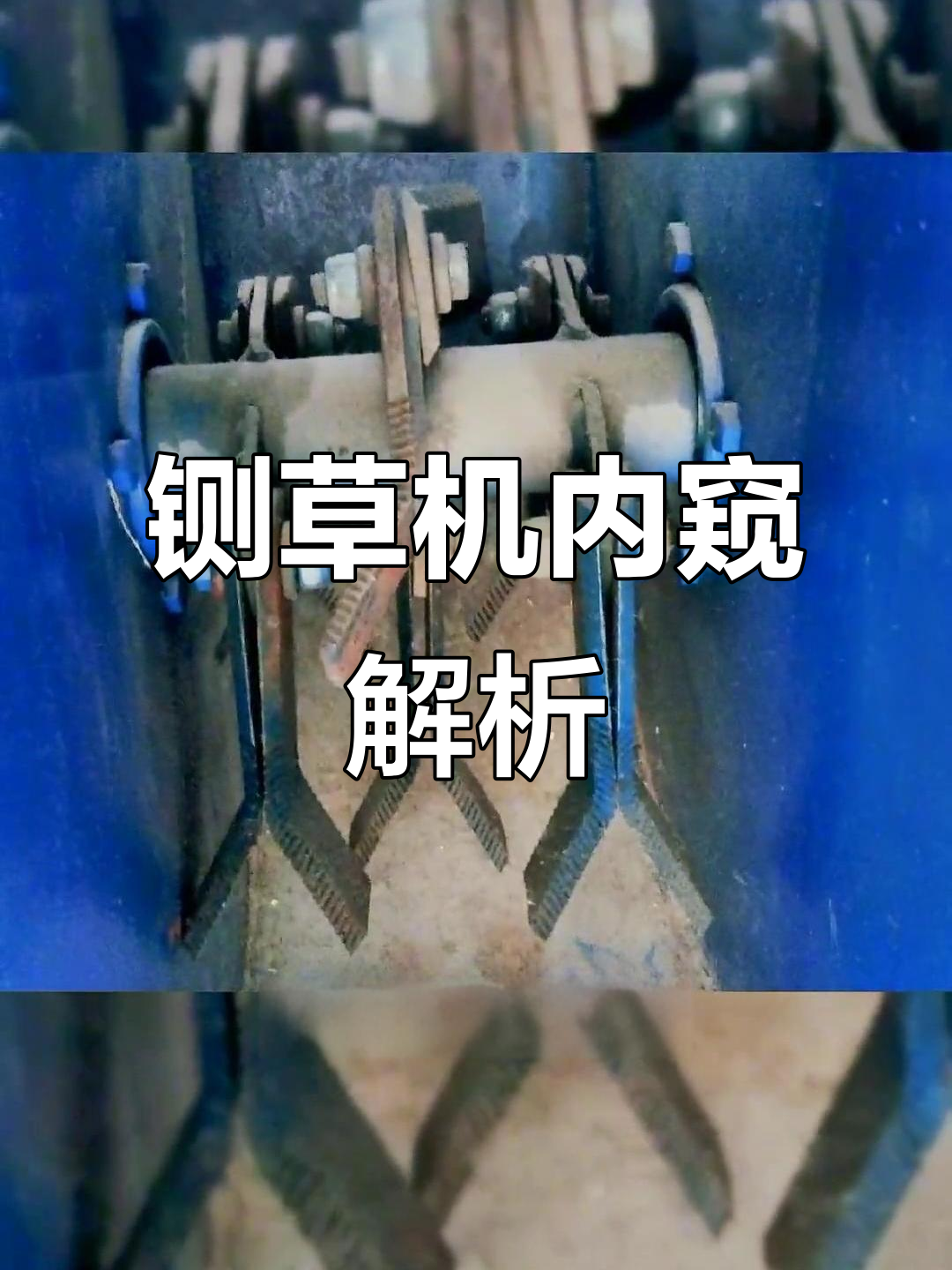 揭秘6.5吨铡草机,了解揉搓效果与内部构造!