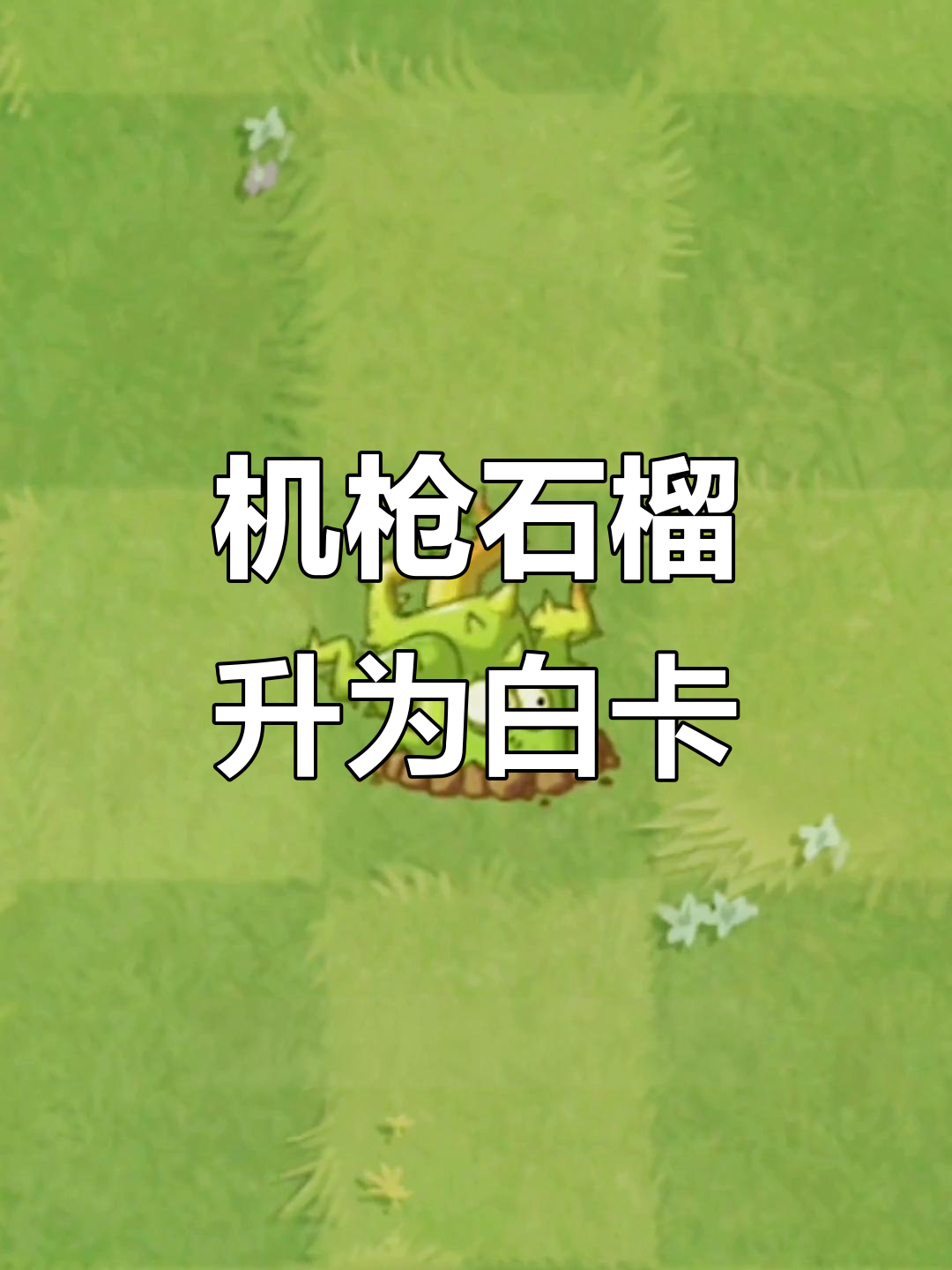 植物大战僵尸:机枪石榴升白卡,弹簧豆和胆小荆棘也升级