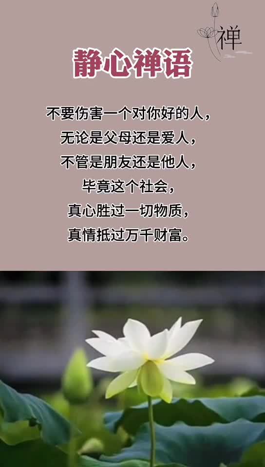 不要伤害一个对你好的人,无论是父母还是爱人,不管是朋友还是他人修心