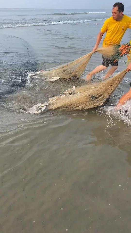 我家在广东电白,家里离海边不到100米,只要有渔网,什么海鲜都有得吃