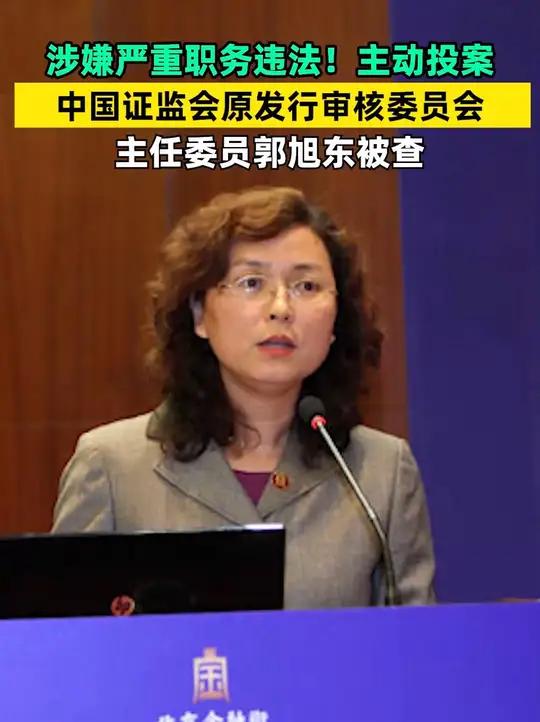 主动投案,中国证监会原发行审核委员会主任委员郭旭东被查