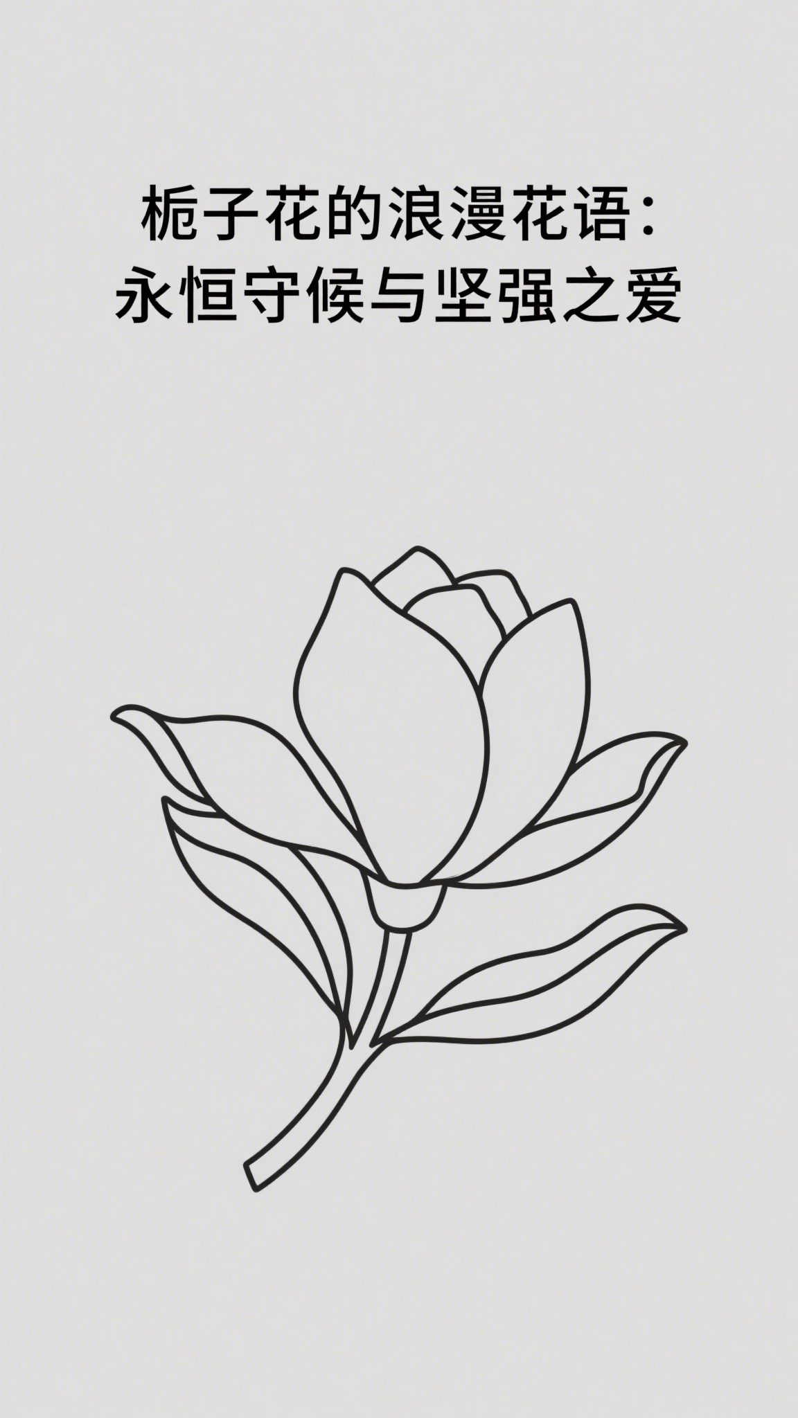 栀子花的浪漫花语:永恒守候与坚强之爱