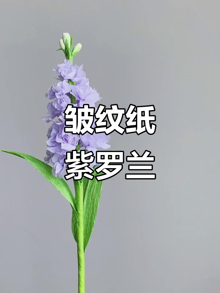 皱纹纸紫罗兰折法教程,简单又美丽