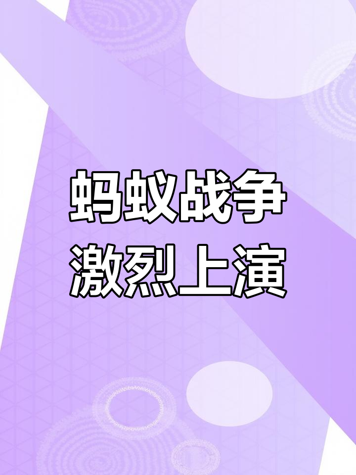 蚂蚁战争记录片=蚂蚁世界大战完整视频