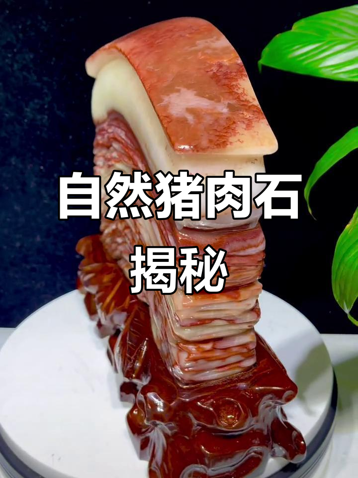 纯天然猪肉石,奇形怪状让人惊艳