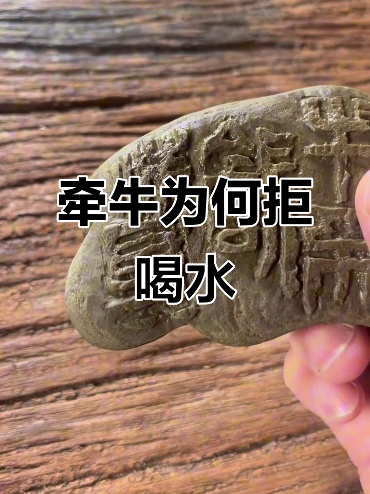 牵牛不饮洗耳水,背后隐藏的智慧