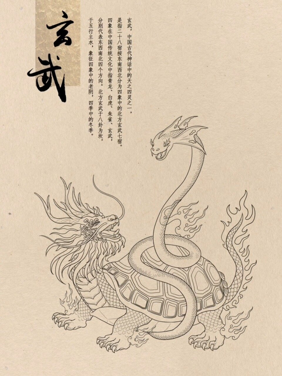 中国玄武怎么画 简单图片