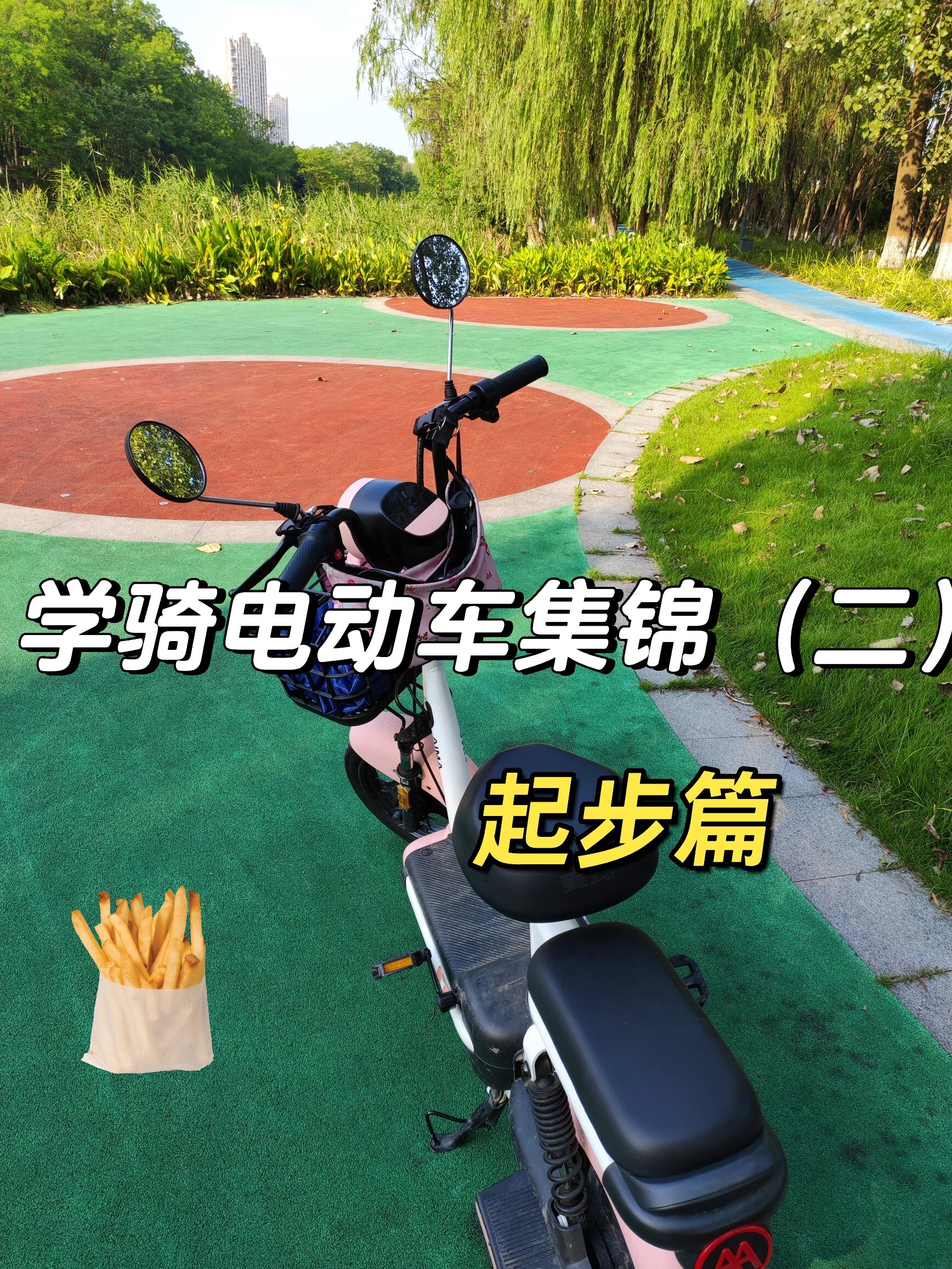 学习骑电动车集锦(二)|起步篇