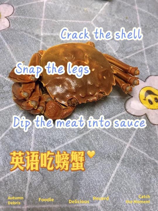 亲子英语222: 吃螃蟹季,英语吃螃蟹