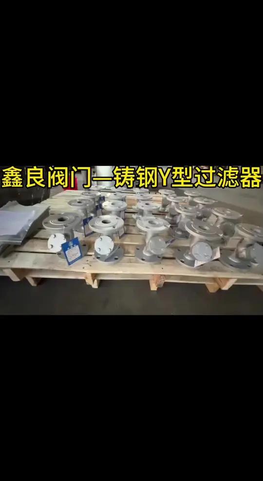 Y型过滤器内部图片