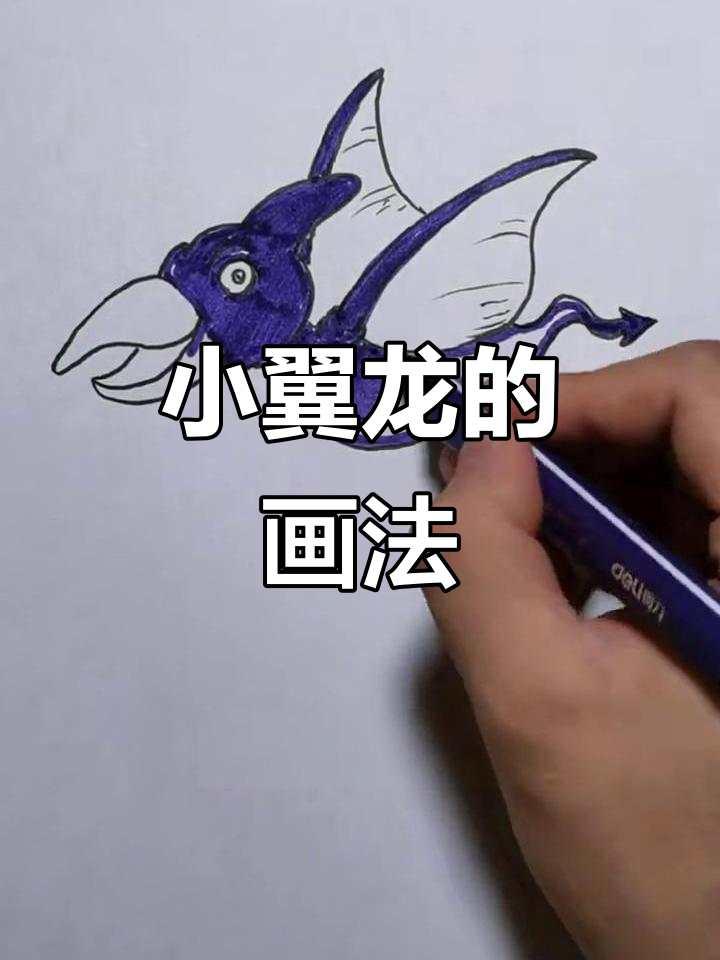画出紫色小翼龙,快来一起动手!
