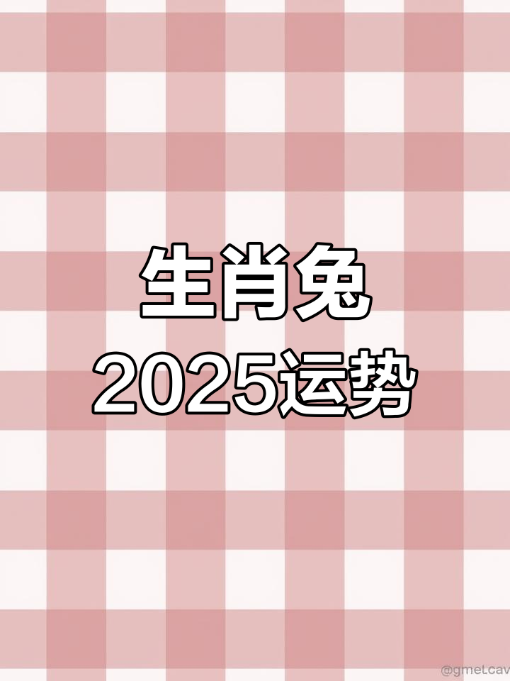 兔生肖2025每日运势(2025属兔运势)