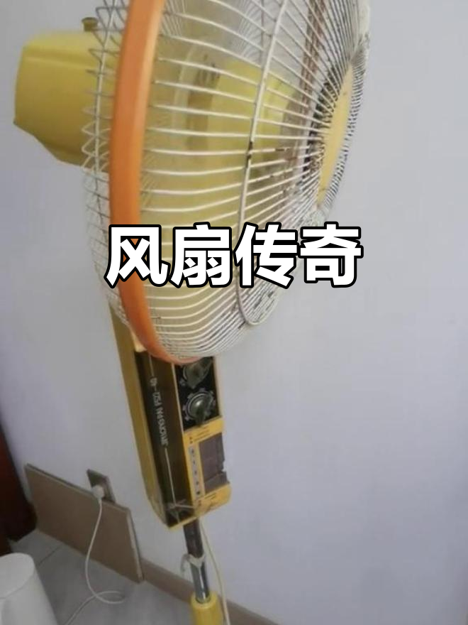 金龙风扇30年依旧强劲,质量过硬成就经典!