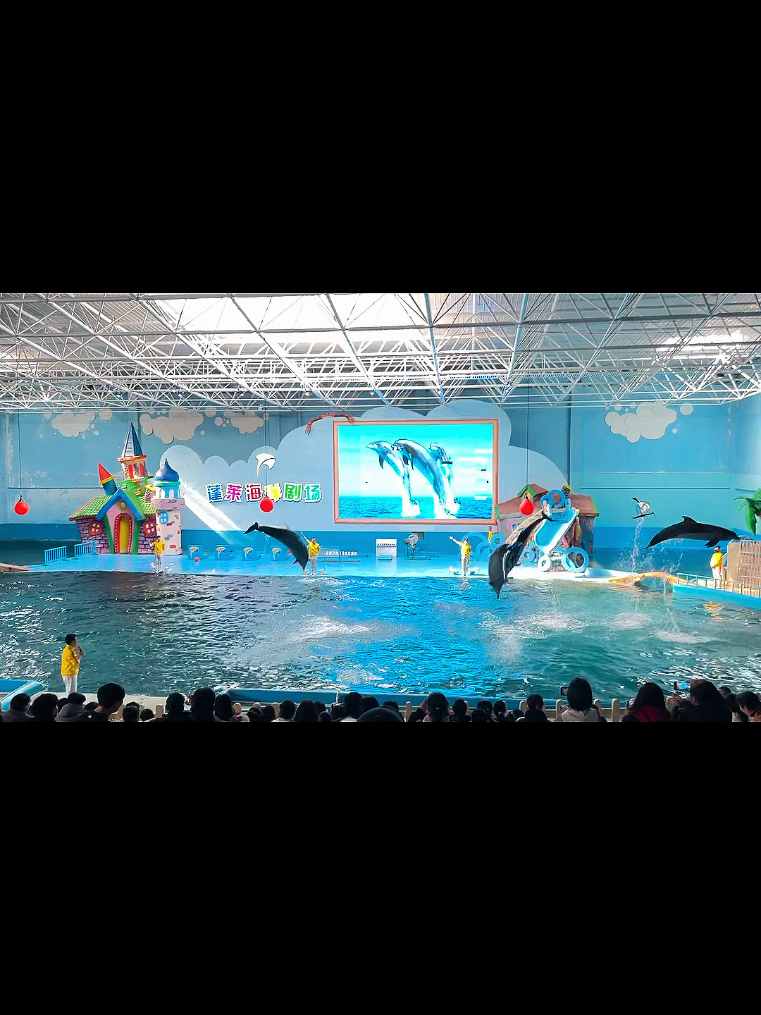 烟台蓬莱海底世界vs海昌鲸鲨馆