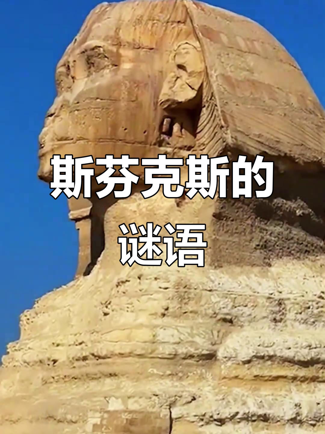 斯芬克斯之谜:早晨四条腿,中午两条,晚上三条