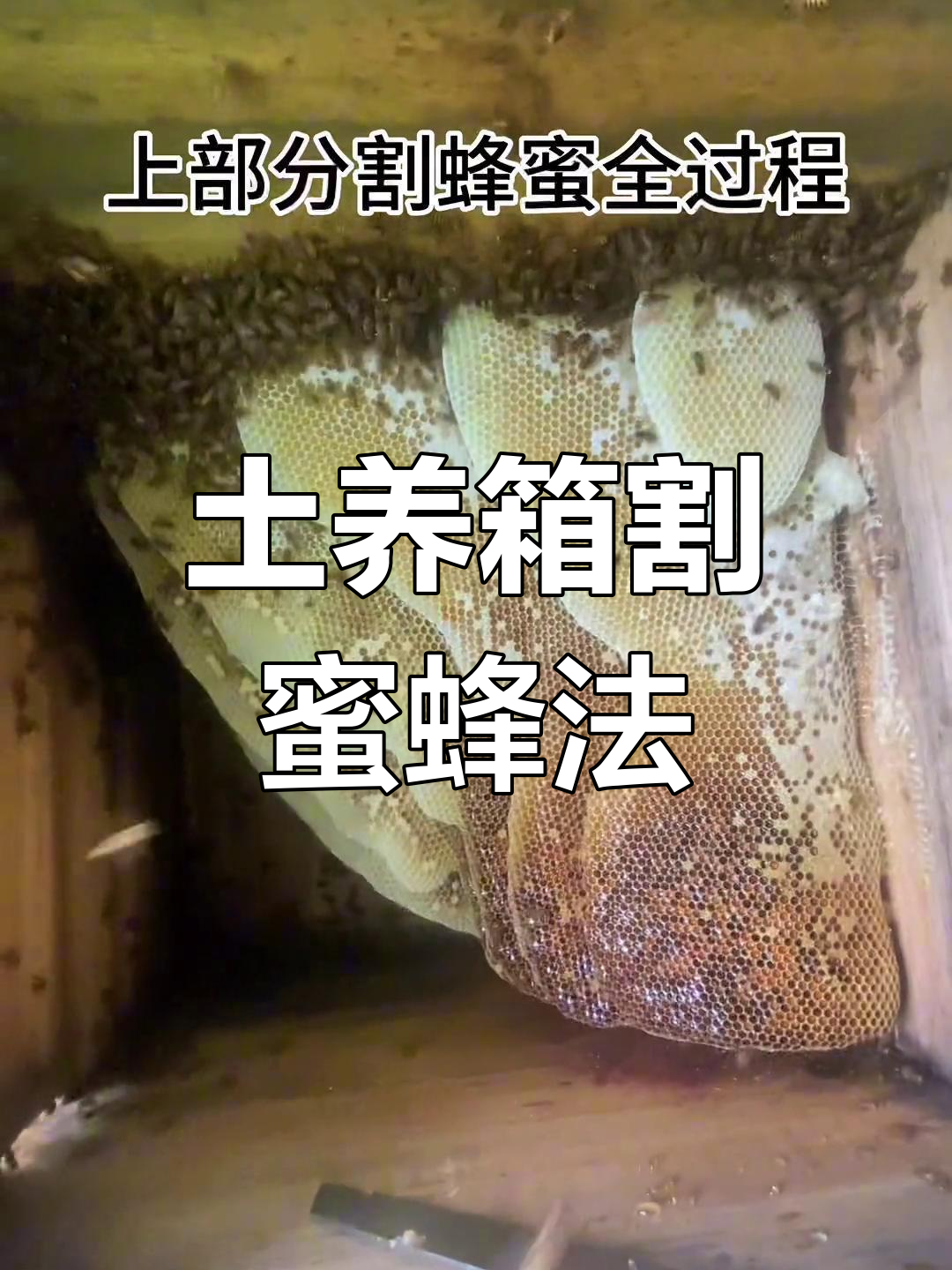 蜂蜜要怎么储藏(蜂蜜要怎么储藏好) 蜂蜜要怎么储藏(蜂蜜要怎么储藏好)