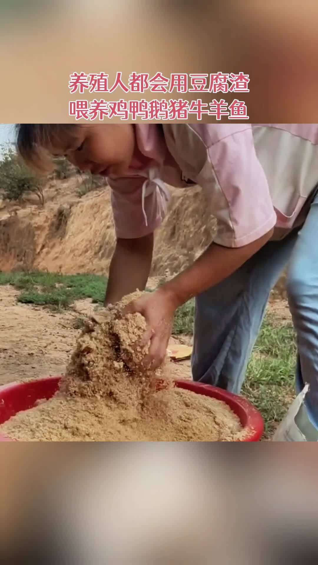 在农村做饲料加工怎么样啊(在农村开个饲料加工厂怎么样)