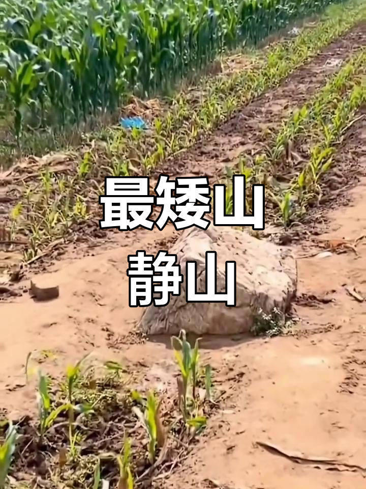 世界最矮的山峰图片