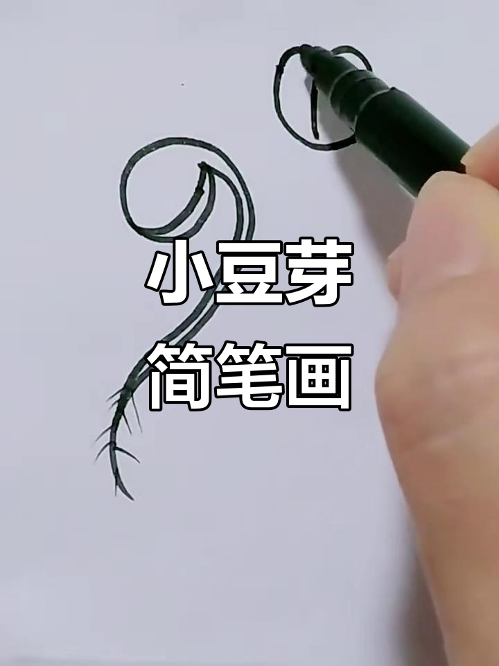 轻松学画小豆芽,简单又有趣